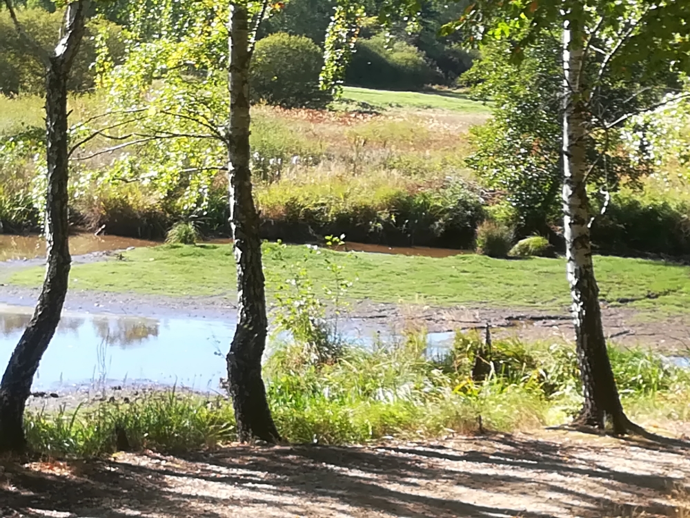 Ausflugs-Tipp Hachemühle: verwunschenes Wald-Idyll in Dübener Heide! Verwunschene Pfade