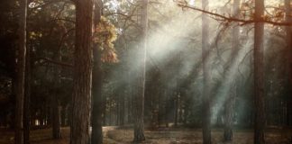 Nur für starke Nerven: Dieser Thriller geht Müttern unter die Haut!