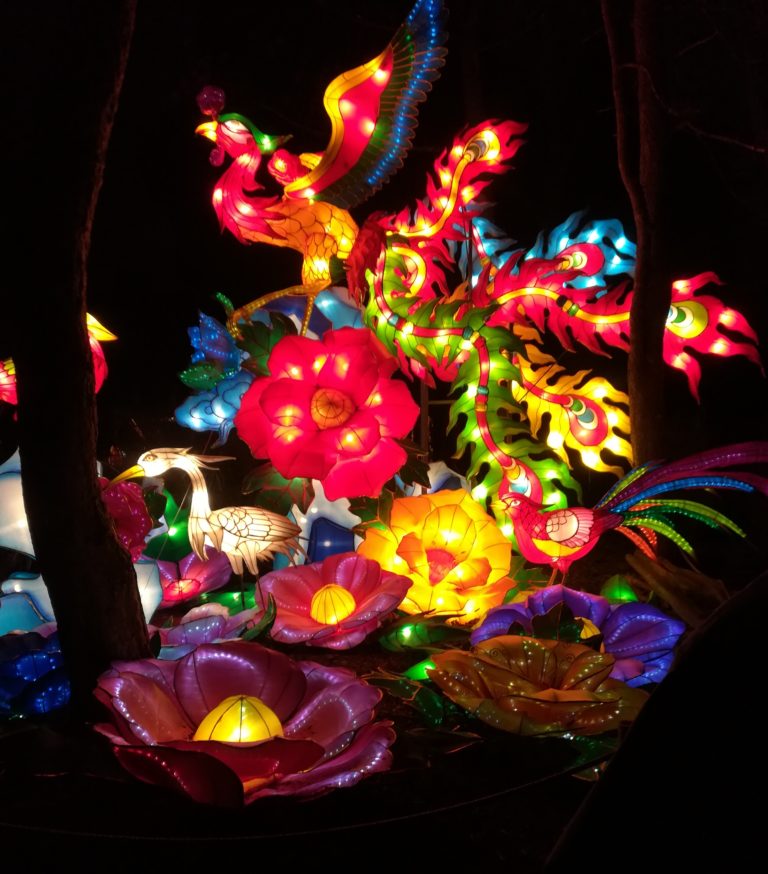 Familien-Highlight in Deutschlands einzigem Bergzoo: „Magische Lichterwelten“ in Halle!