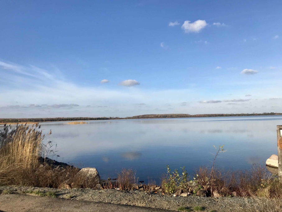 Ideal für Ausflug und Urlaub: das See- und Waldresort Gröbern
See