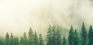 „Was uns erinnern lässt“ – Wie eine Hoteliersfamilie im deutsch-deutschen Sperrgebiet lebte