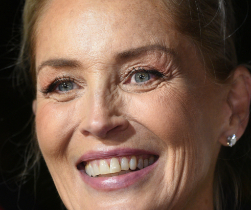 Weil User Profil für Fake hielten: Dating-App sperrte Sharon Stones Account Sharon Stone
