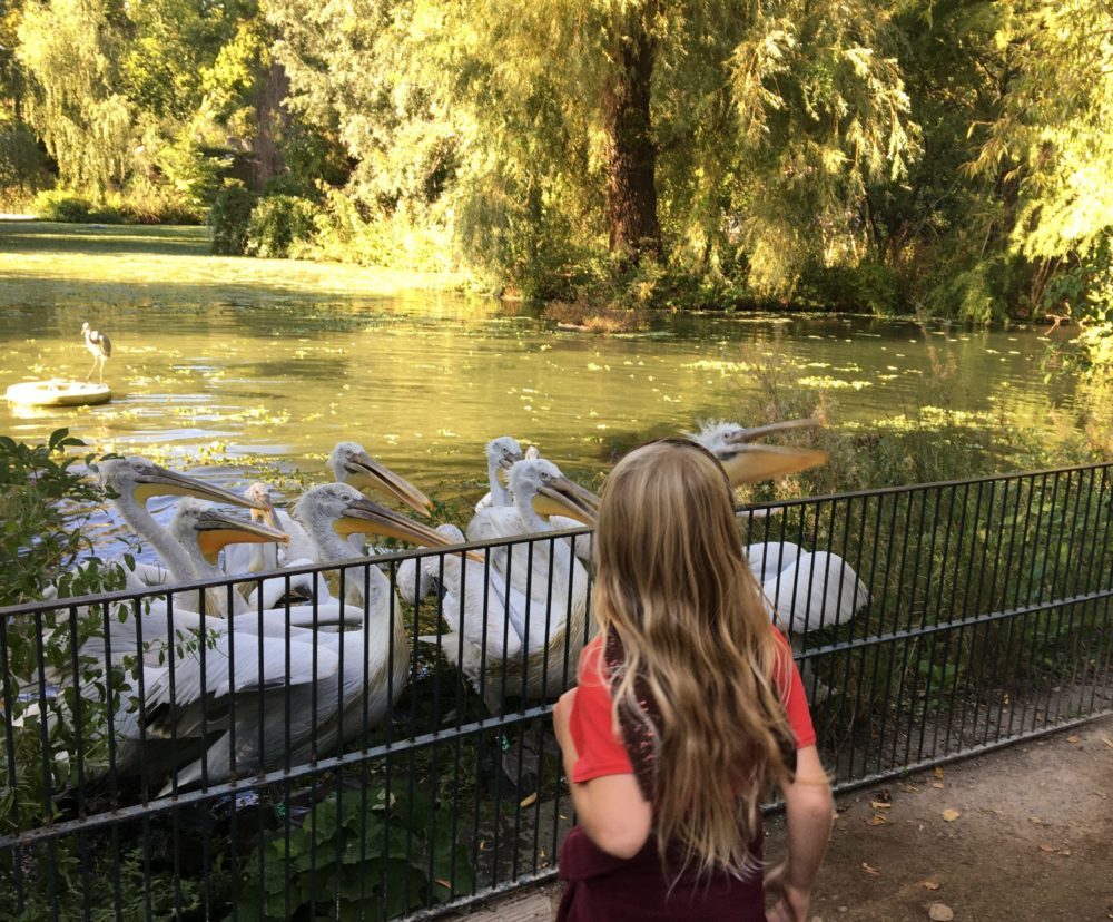 Leipzig: Kindergeburtstag in Deutschlands beliebtestem Zoo – Ein Erfahrungsbericht