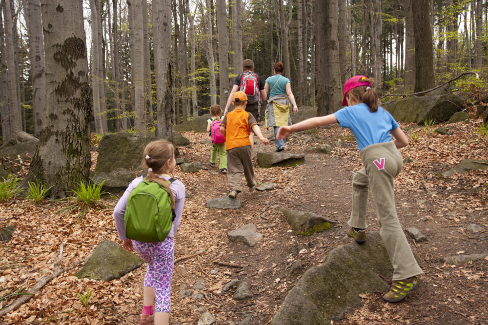 Heimische Natur neu erleben: Auf Wald-Exkursion mit einem Ranger Waldtour Kinder