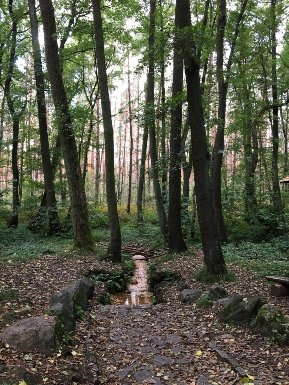 Mystische Herbstzeit: Ideal, um auf den Spuren alter Heimatsagen zu wandeln!