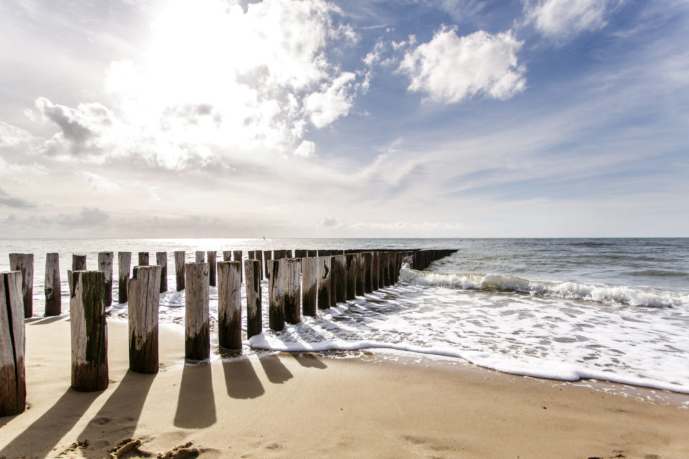 SOLIMER Algae-Effect Cosmetics: Eine frische Brise für die Haut