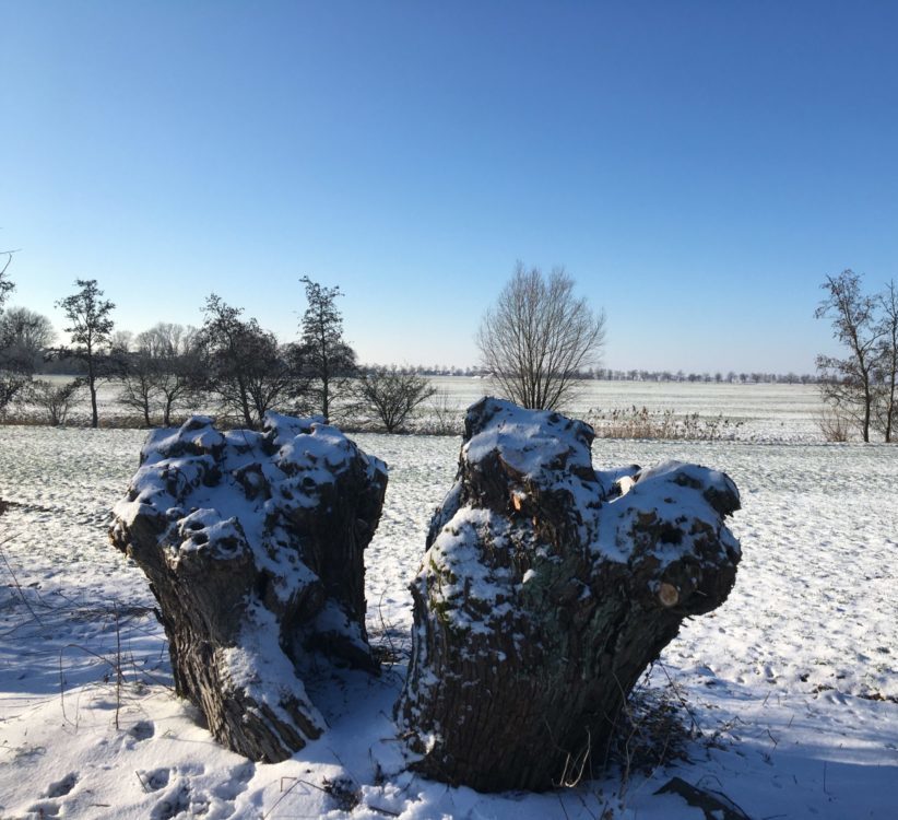 Winterspaziergang vor dem Frühstück: DER Energiebooster schlechthin!