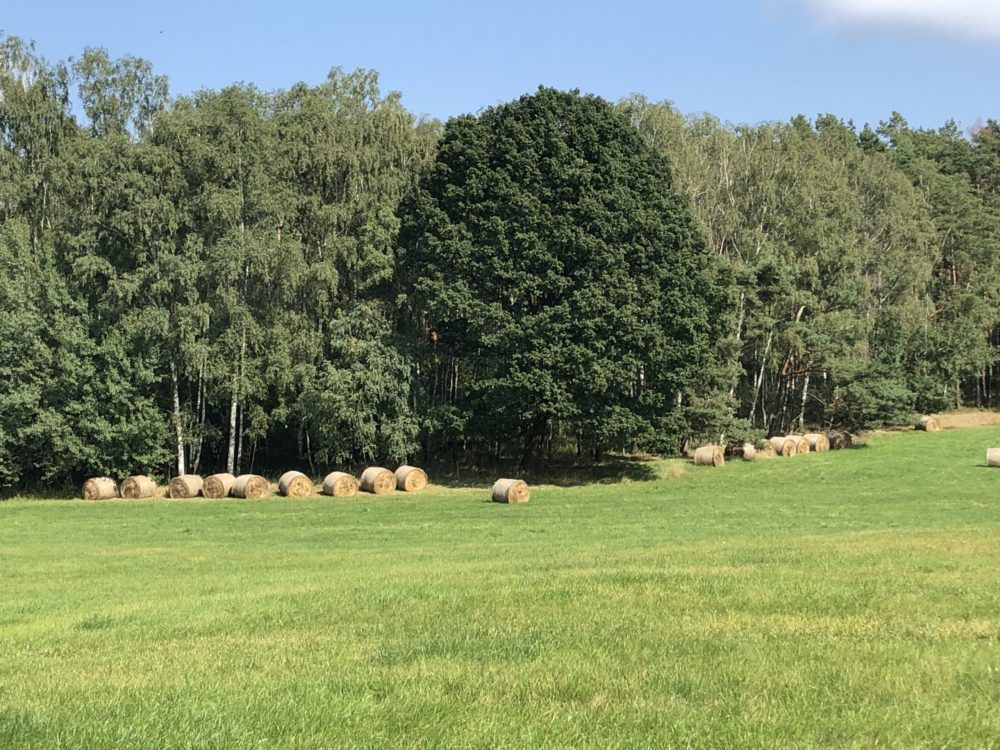 Altweibersommer mit Kurs auf Herbst – was diese Jahreszeit so reizvoll macht