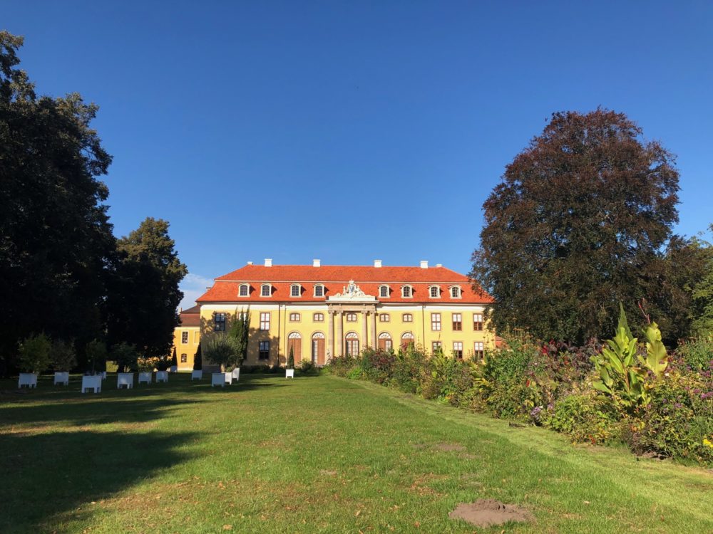 Moderne Singlefrau mit Rokoko-Traum in Mosigkau – Diese Prinzessin war ihrer Zeit voraus!