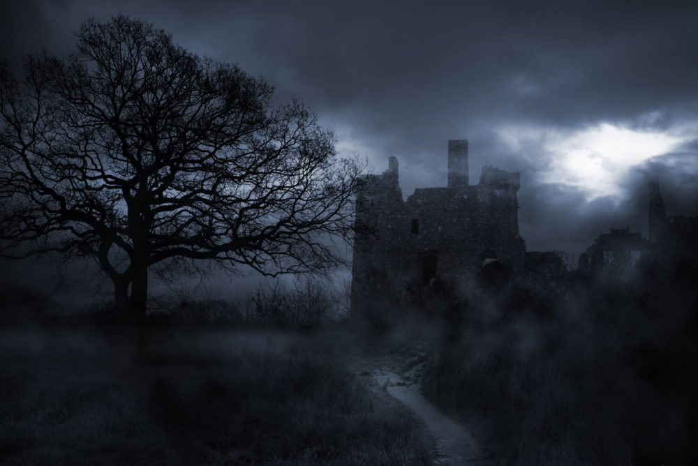 „Sommernacht“ von Lucy Foley: Mitreißender Thriller, der die Nerven kitzelt