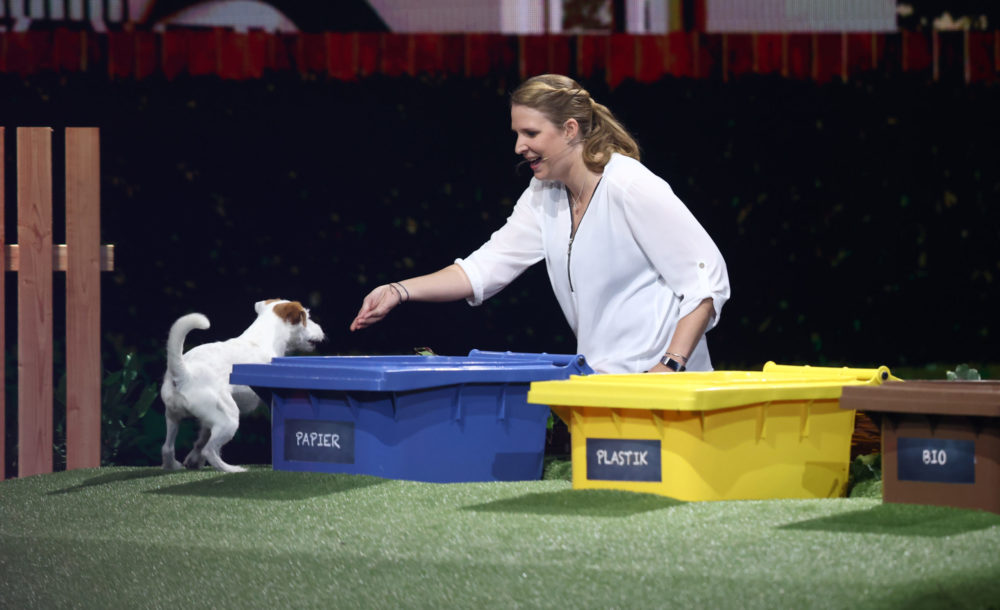 Nun doch: Diese Kult-Show wird fortgesetzt!