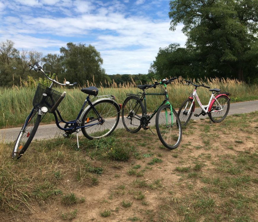 Bis zu 9 € pro Nacht & Person: Hier können Familien einen Urlaubszuschuss erhalten!