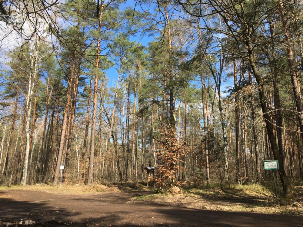 Für Naturliebhaber: 3 tolle News aus dem Wald!