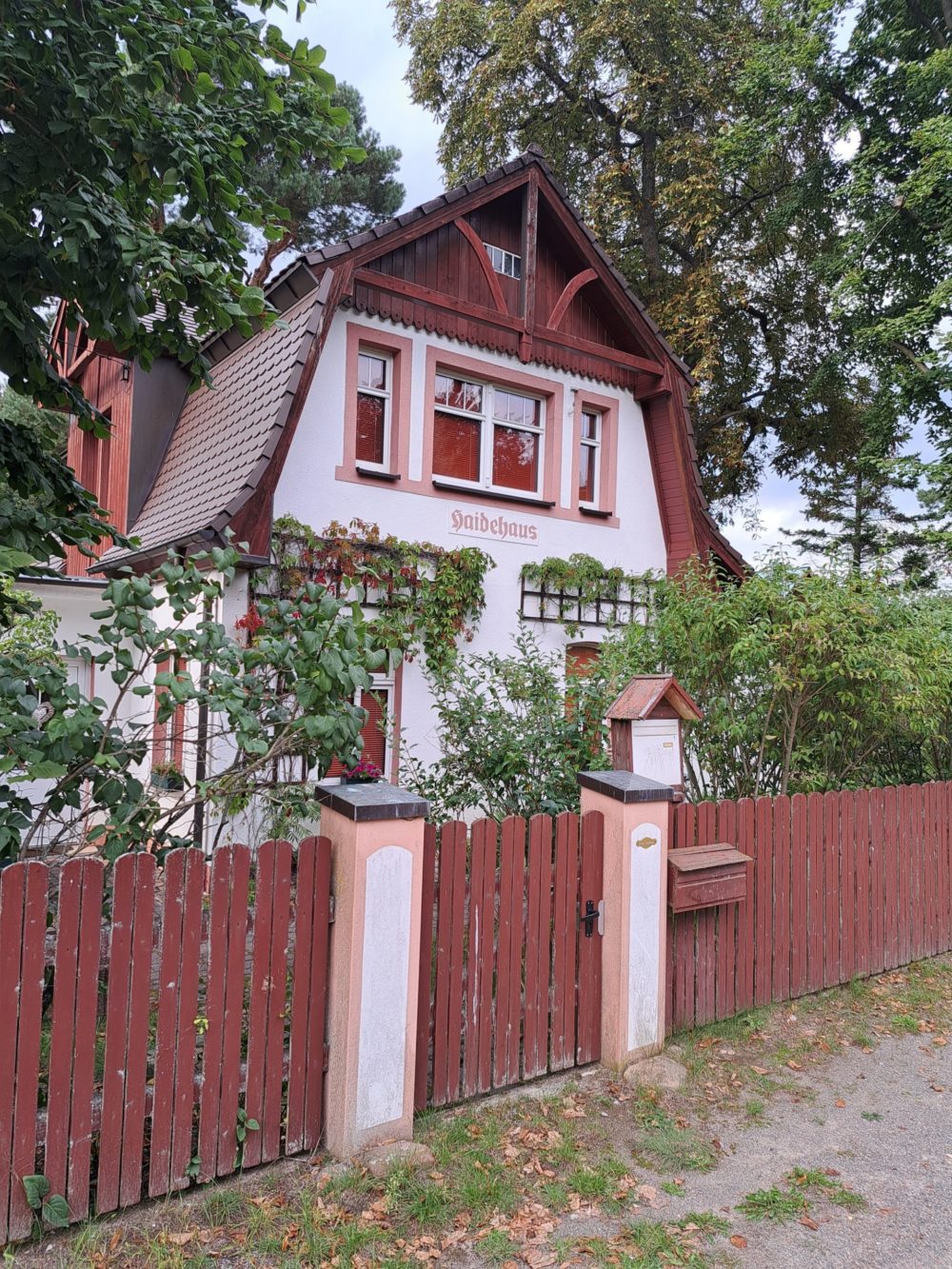 Warum nicht im Wald wohnen?- Kolumne aus der Chefredaktion