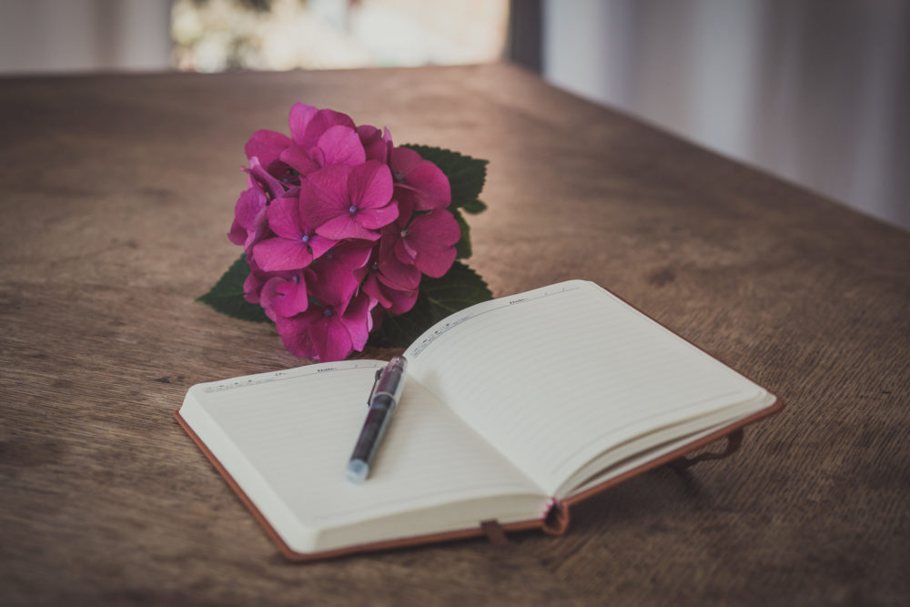 „Das rote Adressbuch“ – Lesefutter zum Niederknien