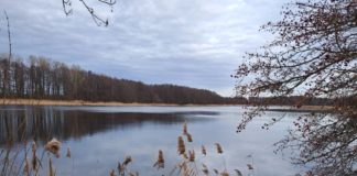 Neues Jahr, keine Vorsätze – Kolumne aus der Chefredaktion