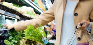 Die Zeit der Speisepläne ist – fürs Erste – vorbei! Kolumne aus der Chefredaktion