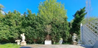 Endlich Frühling & einfach mal nur Liegestuhl! Kolumne aus der Chefredaktion