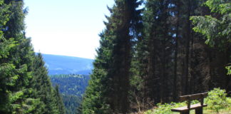 Auch ohne Super-Kondition machbar: Leichte Wanderwege in Deutschland