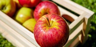 Gegen Demenz & Gebrechlichkeit: Diese Früchte haben es in sich Äpfel in Stiege