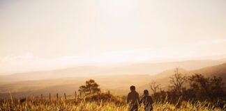 Eltern-Albtraum in Kita: Kinder verschwinden während eines Ausflugs Zwei Kinder in der Natur