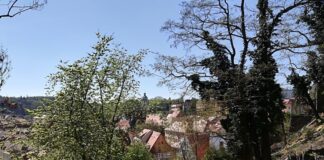 Shoppen & genießen in Meissen: 3 charmante Adressen Meißen