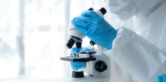 Künstliche Intelligenz: Auch bei Krebsvorsorge im Einsatz Krebsvorsorge am Mikroskop