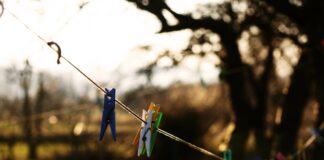 „Irgendwann werden wir uns alles erzählen“: Literarische Melancholie für jede Jahreszeit