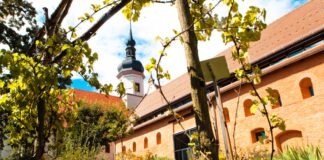 Shoppen & genießen in Riesa: 3 charmante Adressen Riesa