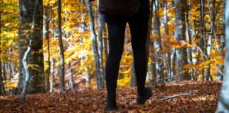 Spazierengehen wird zum Trend – Viel Spott für neuesten TikTok-Schrei Spazierengehen