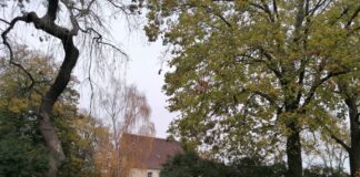 November-Melancholie auf fremdem Friedhof – Kolumne aus der Chefredaktion Friedhof