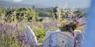 Die Ästhetik der Provence: Gründerinnen starten für Freunde des französischen Lebensstils durch Tisch im Lavendelfeld