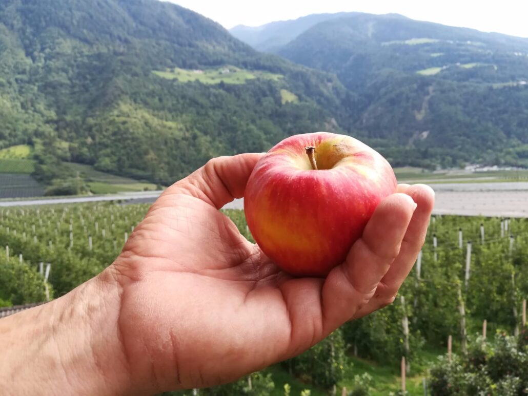 Apfel in der hand