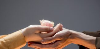 Brustkrebs & Risikofaktoren: Shitstorm gegen Ärztin im Netz zwei Hände und eine Rosenblüte