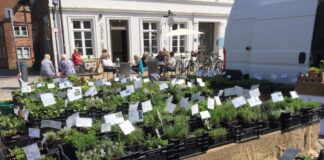 Shoppen & genießen in Preetz: 3 charmante Adressen Preetz