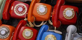 Der Amtsschimmel im Callcenter – Kolumne aus der Chefredaktion Telefon