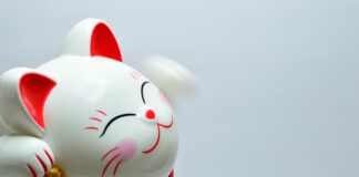 Online-Dating mittels Künstlicher Intelligenz: So wurde ein Singlemann fündig Porzellankatze