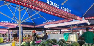 In Kroatien: Osijek, die kaum bekannte Perle Slawoniens entdecken Osijek