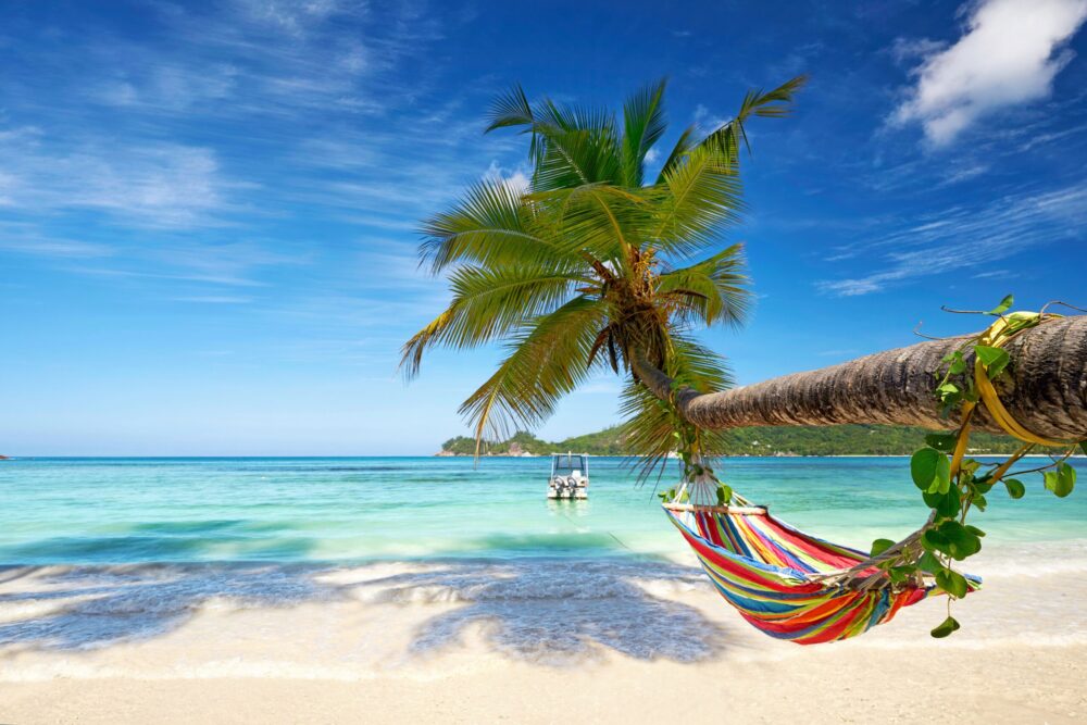 Auf Wolke 7 in der Karibik – Kolumne aus der Chefredaktion Hängematte