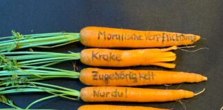 Möhre ohne Anspruch – Gastartikel von Beate Wiemann Möhren