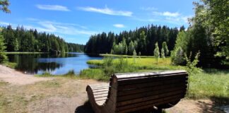 Entschleunigung in traumhafter Wald-Idylle: 3 lauschige Orte im Vogtland