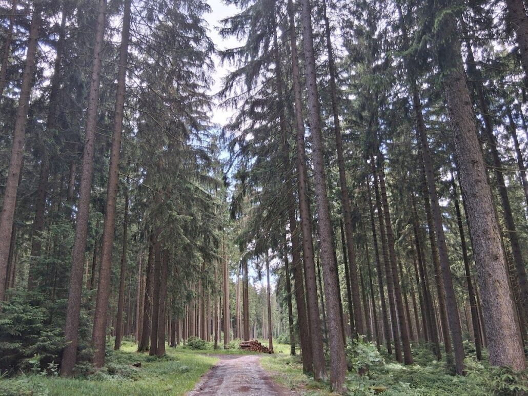 Natur im Vogtland