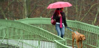 Ingwer, Zwiebel, Honig: So rüstet sich die Internet-Gemeinde gegen Erkältungen Bei Regen drohen schnell Erkältungen