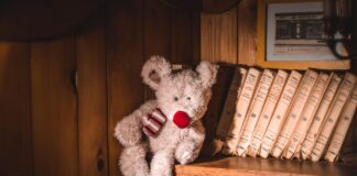 Darum lädt eine Bibliothek Kinder-Kuscheltiere zur Übernachtung ein Plüschteddys in Bibliothek
