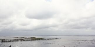 Wenn die Liebe leise geht: Weihnachten, Trennung & die Macht der Schuld Meer im Winter