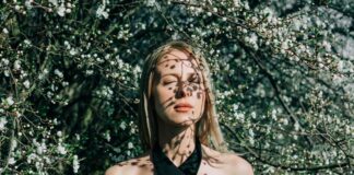 Holistische Beratung für mehr Wohlbefinden – im Einklang mit sich selbst Holistische Beratung Special