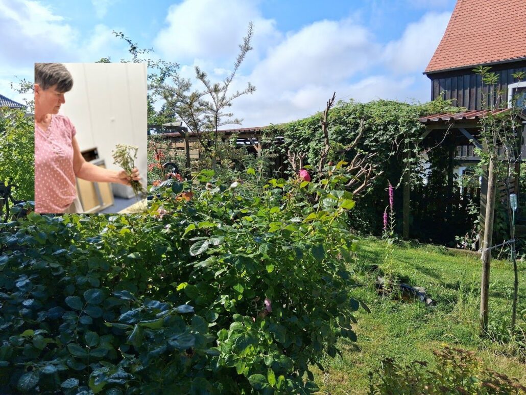 Kurzurlaub und Workshops