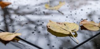 Gut vorbereitet für das Leben und den Abschied – Bärbel Amels über ihr Herzensbusiness Bärbel Amels und ihr Herzensbusiness